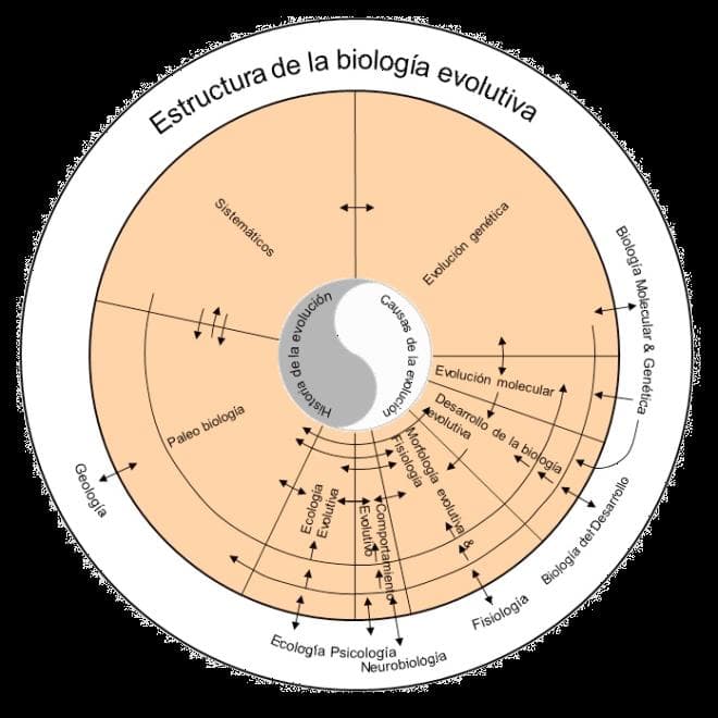 Biología evolutiva